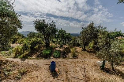 Terreno para Venda em Tortosendo