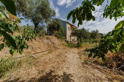 Terreno para Venda em Tortosendo