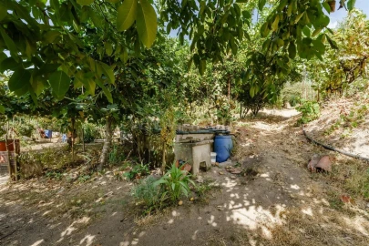 Terreno para Venda em Tortosendo