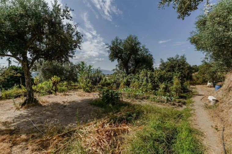 Terreno para Venda em Tortosendo Foto 4