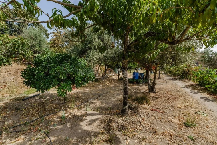 Terreno para Venda em Tortosendo Foto 9