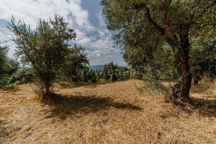Terreno para Venda em Tortosendo Foto 2