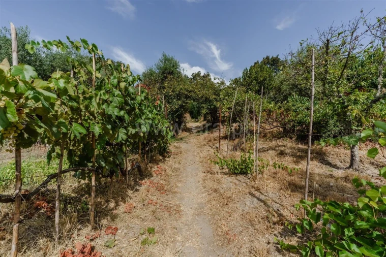 Terreno para Venda em Tortosendo Foto 7