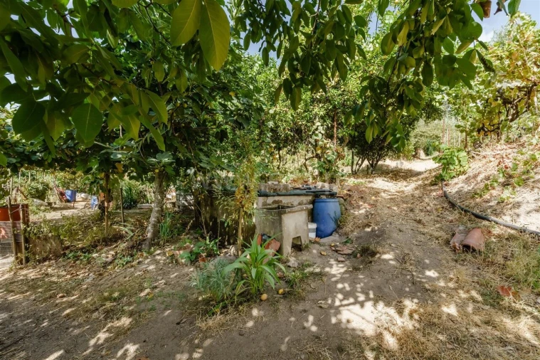 Terreno para Venda em Tortosendo Foto 6
