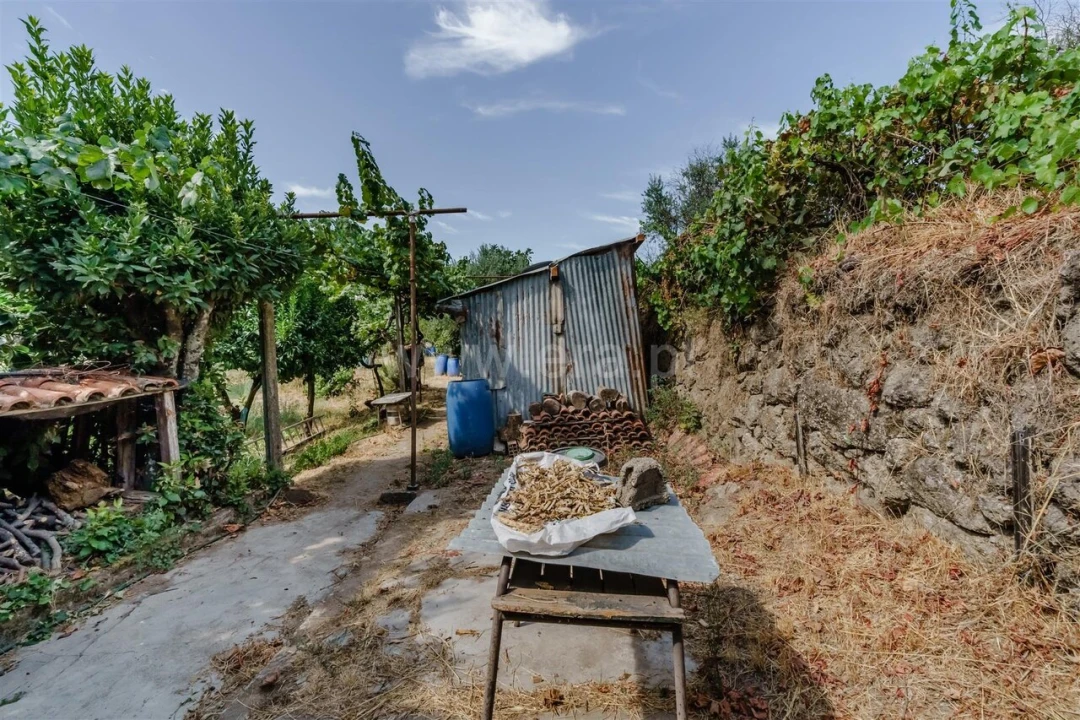 Terreno para Venda em Tortosendo Foto 15