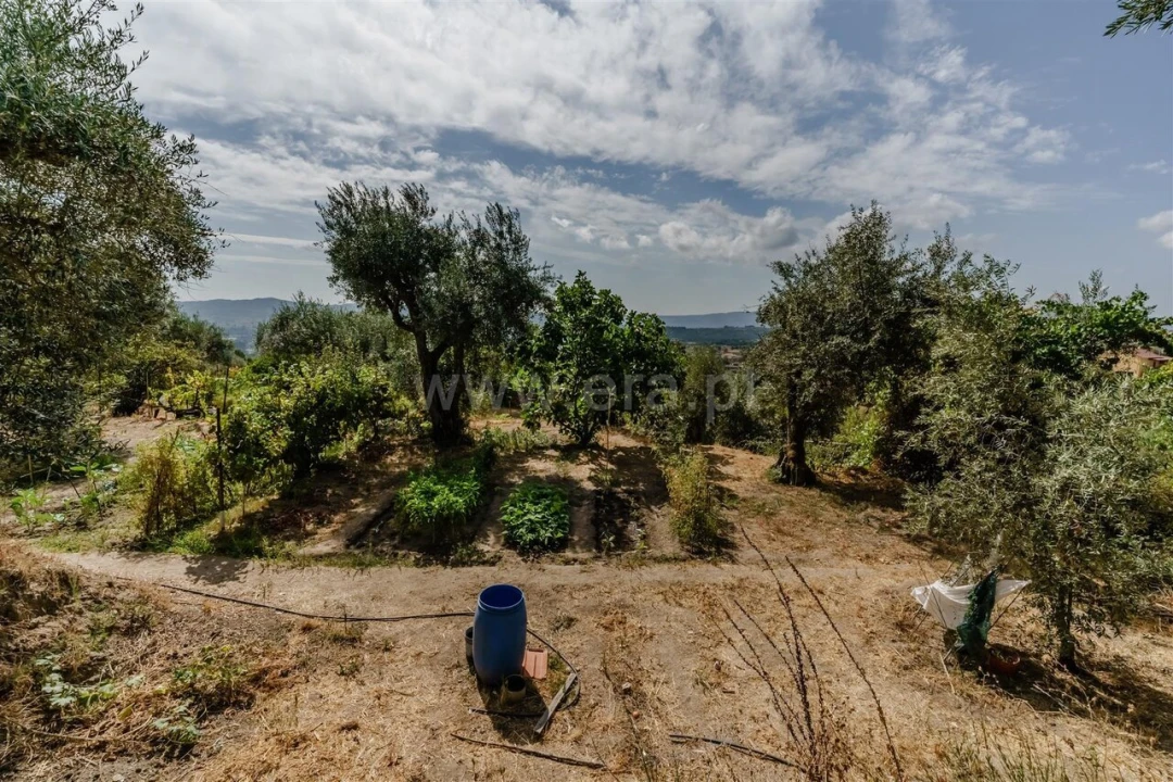 Terreno para Venda em Tortosendo Foto 3