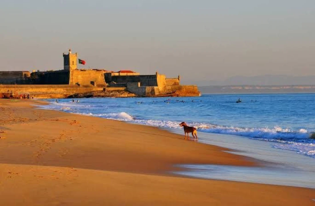 Apartamento T1 para Arrendamento em Carcavelos e Parede Foto 19