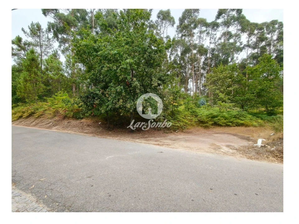 Terreno para Venda em Regadas Foto 1