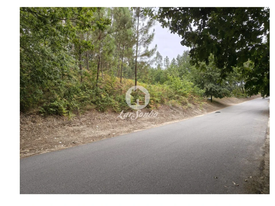 Terreno para Venda em Regadas Foto 2