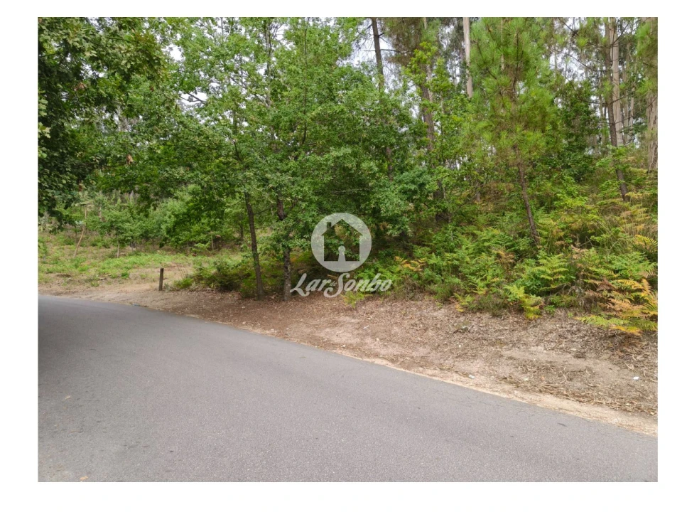 Terreno para Venda em Regadas Foto 3