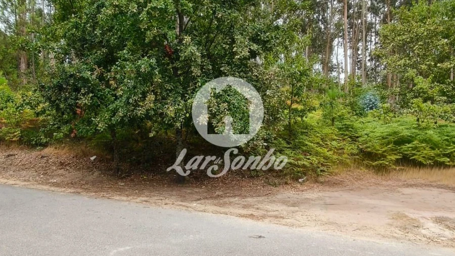 Terreno para Venda em Regadas