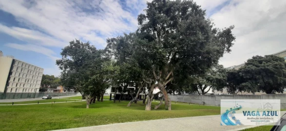 Apartamento T1 para Arrendamento em Paranhos