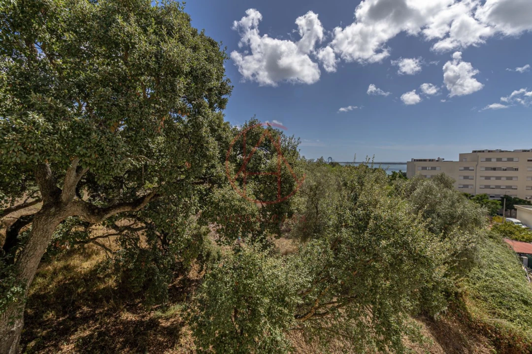 Apartamento T2 para Venda em Azeitão (São Lourenço e São Simão) Foto 16