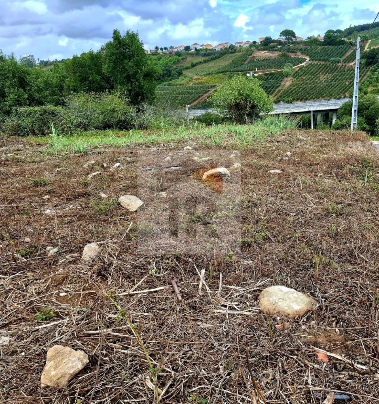 Terreno para Venda em Nossa Senhora do Pópulo, Coto e São Gregório Foto 6