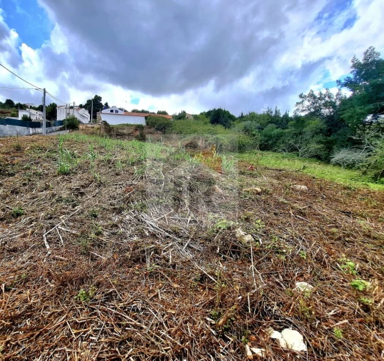 Terreno para Venda em Nossa Senhora do Pópulo, Coto e São Gregório Foto 9