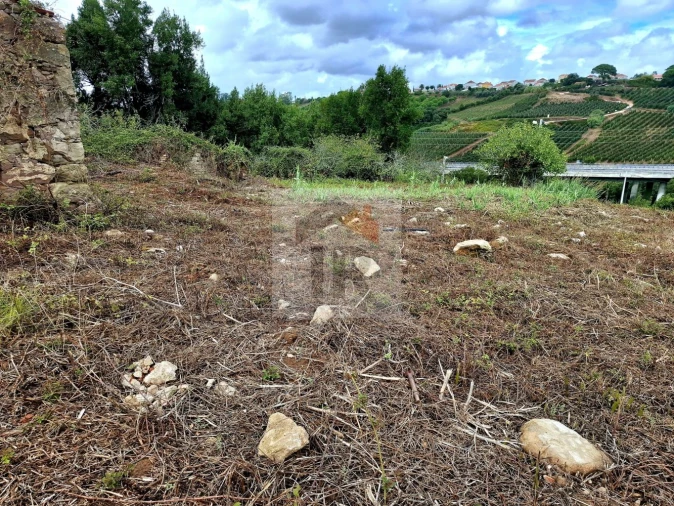 Terreno para Venda em Nossa Senhora do Pópulo, Coto e São Gregório Foto 5