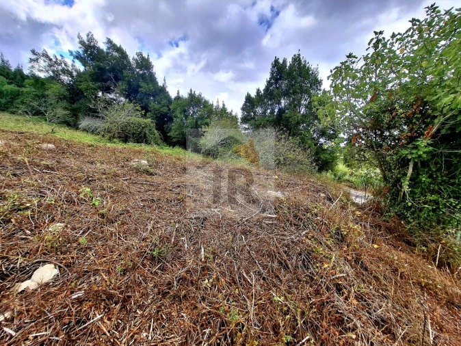 Terreno para Venda em Nossa Senhora do Pópulo, Coto e São Gregório Foto 3