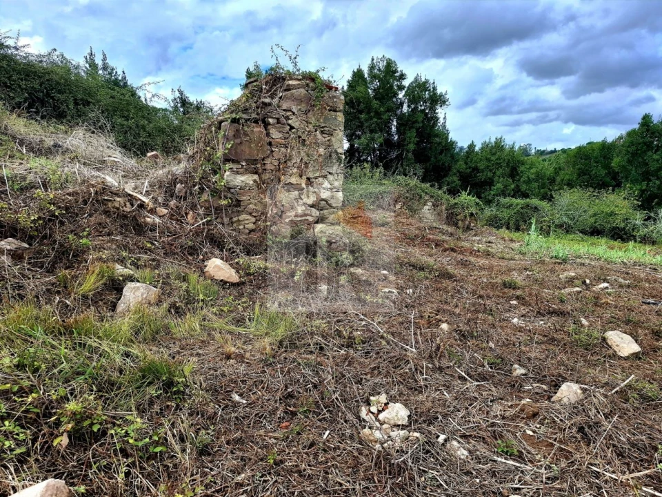 Terreno para Venda em Nossa Senhora do Pópulo, Coto e São Gregório Foto 4