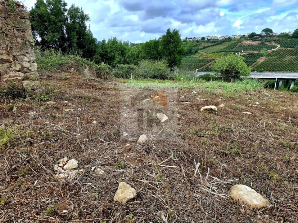 Terreno para Venda em Nossa Senhora do Pópulo, Coto e São Gregório Foto 5