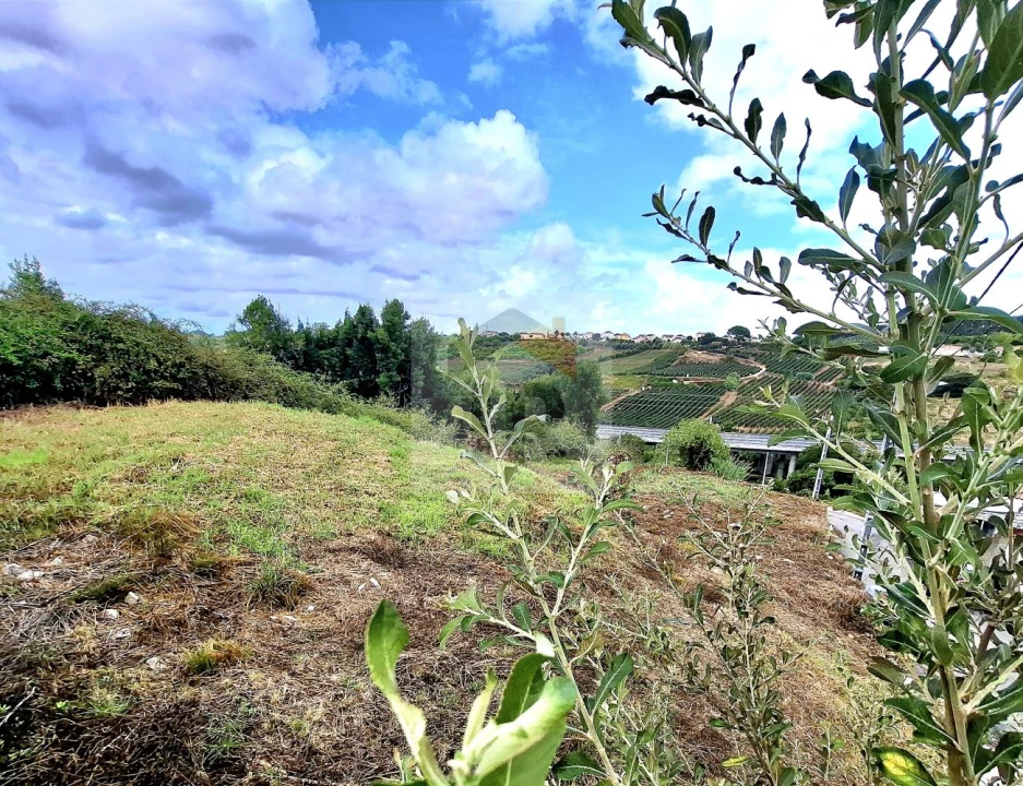 Terreno para Venda em Nossa Senhora do Pópulo, Coto e São Gregório Foto 12