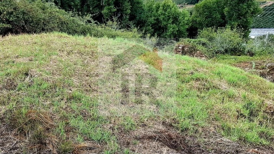 Terreno para Venda em Nossa Senhora do Pópulo, Coto e São Gregório