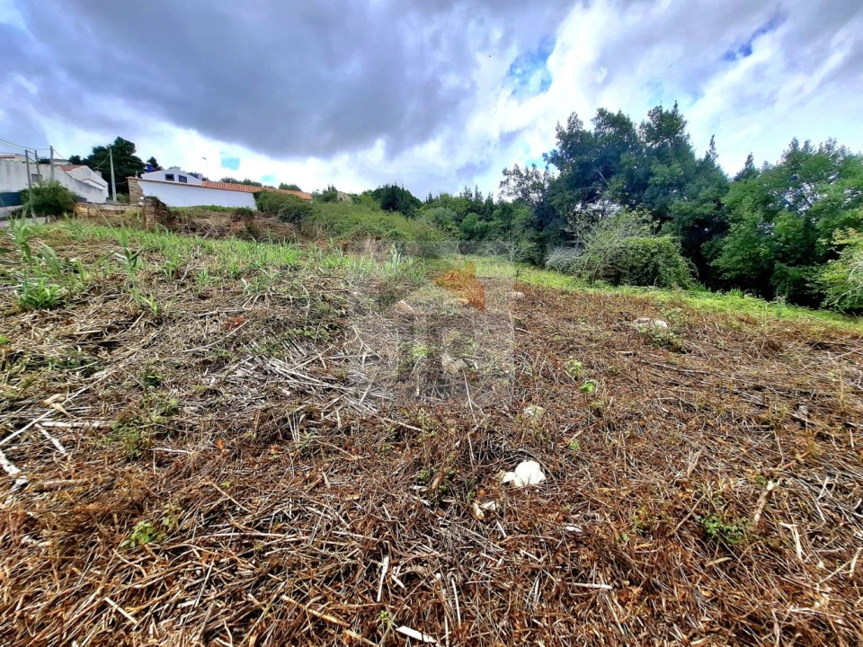 Terreno para Venda em Nossa Senhora do Pópulo, Coto e São Gregório Foto 7