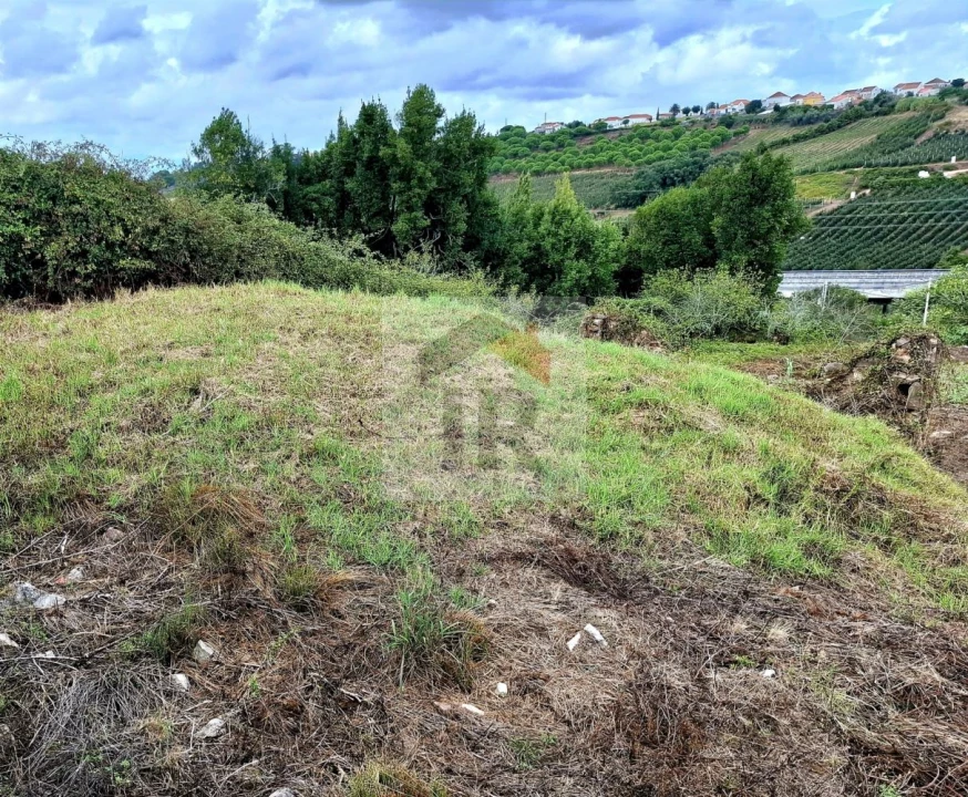Terreno para Venda em Nossa Senhora do Pópulo, Coto e São Gregório Foto 1