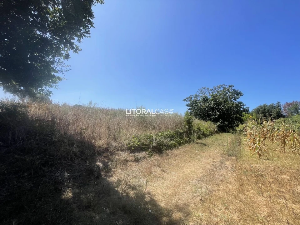 Terreno para Venda em Palhaça Foto 9
