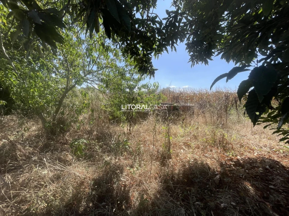 Terreno para Venda em Palhaça Foto 8