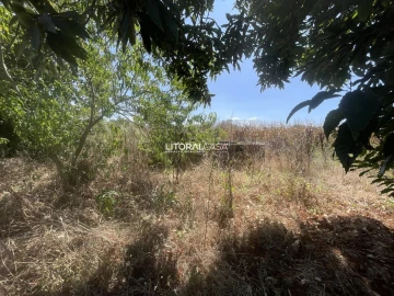 Terreno para Venda em Palhaça