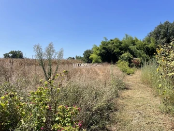 Terreno para Venda em Palhaça