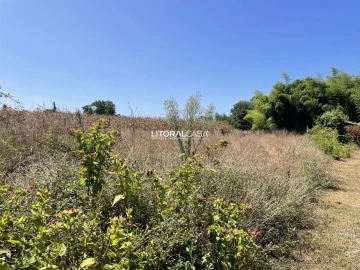 Terreno para Venda em Palhaça
