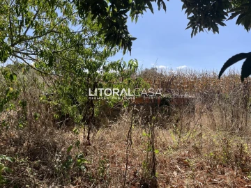 Terreno para Venda em Palhaça