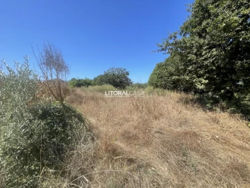 Terreno para Venda em Palhaça