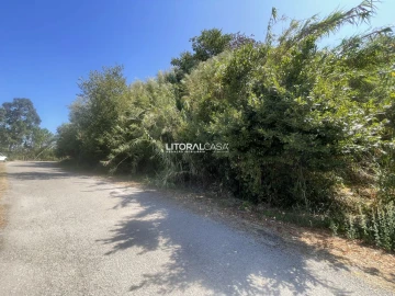 Terreno para Venda em Palhaça