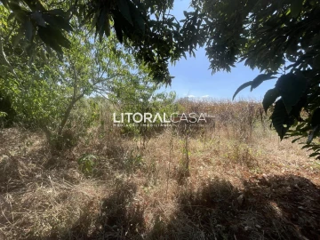 Terreno para Venda em Palhaça