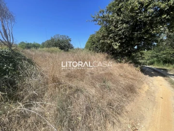 Terreno para Venda em Palhaça