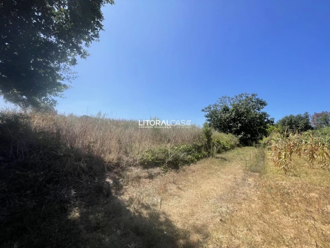 Terreno para Venda em Palhaça Foto 9