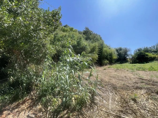 Terreno para Venda em Palhaça Foto 3