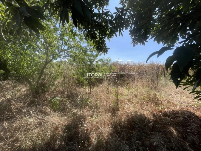Terreno para Venda em Palhaça Foto 8