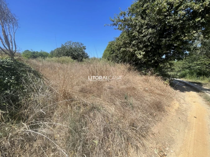 Terreno para Venda em Palhaça Foto 10