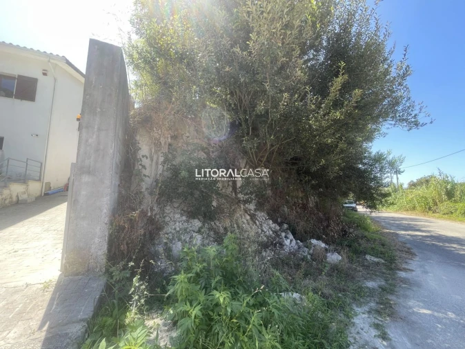 Terreno para Venda em Palhaça Foto 4