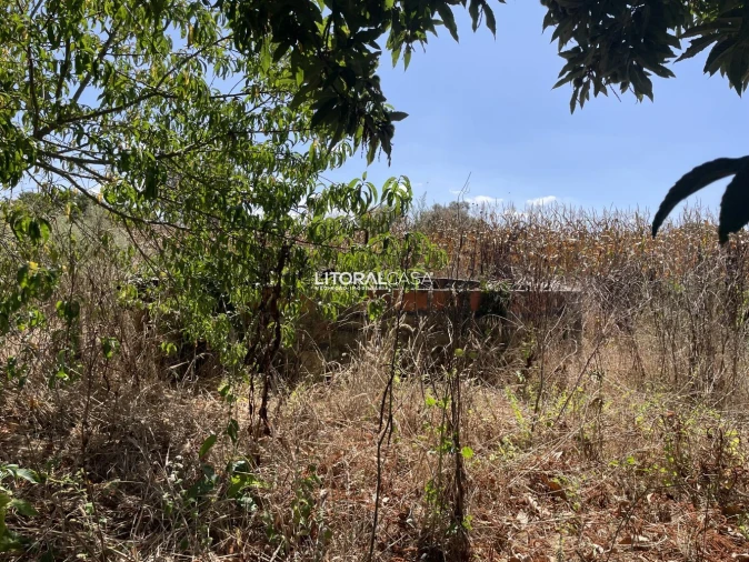 Terreno para Venda em Palhaça Foto 7