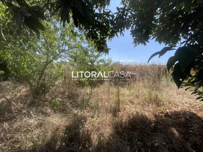 Terreno para Venda em Palhaça Foto 8