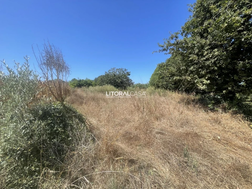Terreno para Venda em Palhaça Foto 11