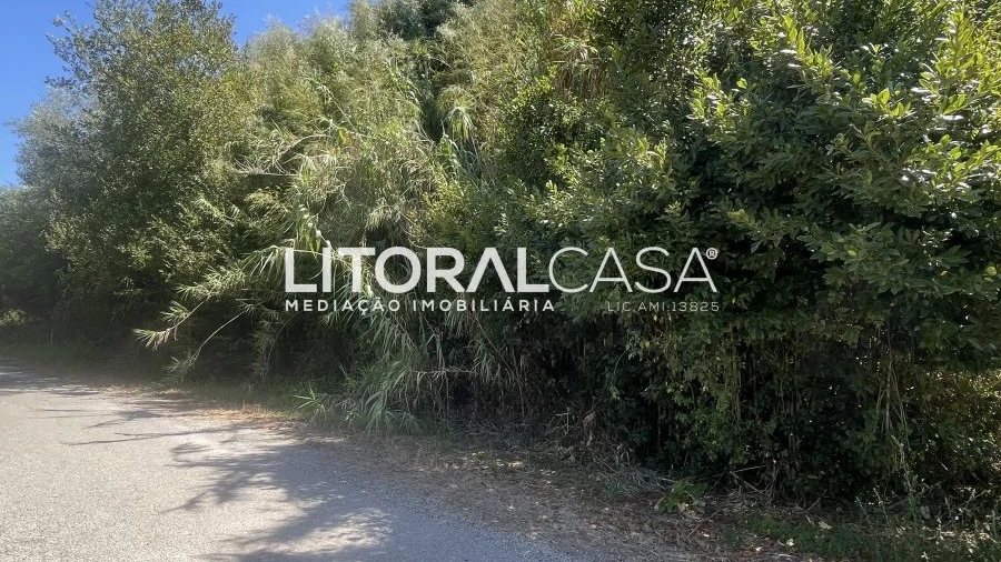 Terreno para Venda em Palhaça