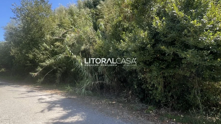 Terreno para Venda em Palhaça