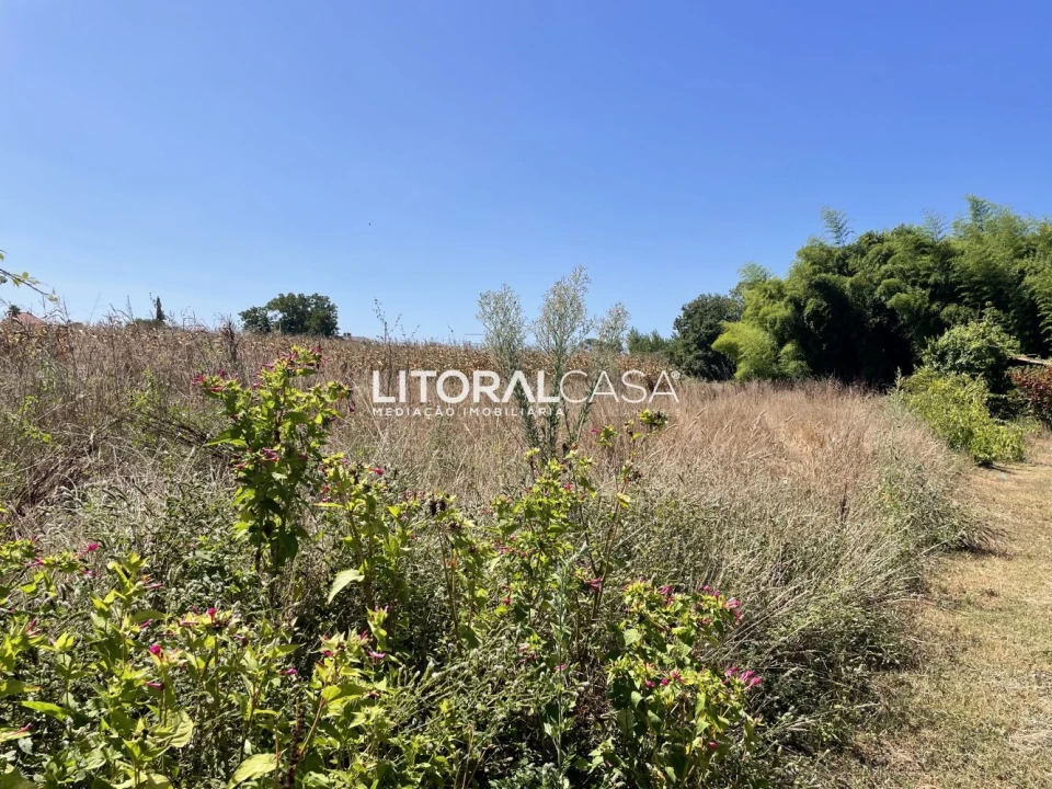 Terreno para Venda em Palhaça Foto 6