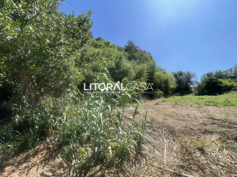 Terreno para Venda em Palhaça Foto 3