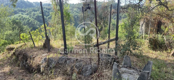 Moradia T4 para Venda em Santa Cruz do Douro e São Tomé de Covelas